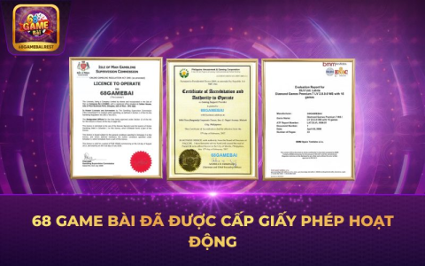 Giới Thiệu Nền Tảng Nhatvip